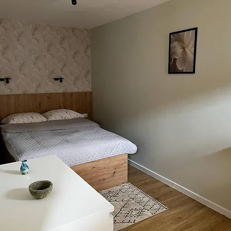 Pensión Rubikon Cracovia